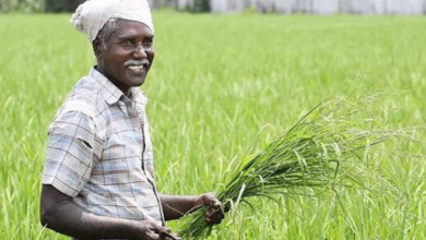 Photo of गन्ने की खेती करने वाले किसानों के लिए जरूरी खबर…