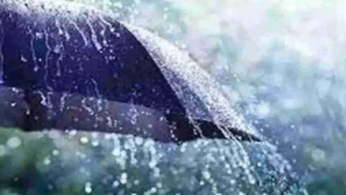 Photo of पंजाब में भारी बारिश का अलर्ट