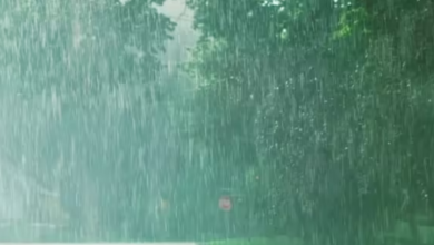 Photo of पाकिस्तान के कई राज्यों में बाढ़ की चेतावनी, भारी बारिश से तीन की मौत