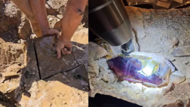 Photo of घूमने गया था शख्स, पत्थरों के बीच मिला कुछ ऐसा, चमक उठीं आंखें
