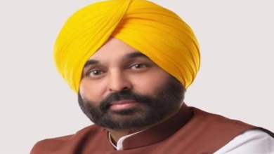 Photo of विनेश फोगाट  के घर जाएंगे पंजाब CM भगवंत मान