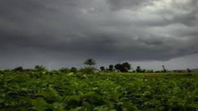 Photo of पंजाब के मौसम को लेकर बड़ी अपडेट