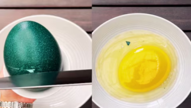 Photo of दर्जनभर मुर्गी के अंडों के बराबर है ये ‘बाहुबली’ अंडा, भर जाएगा पूरे परिवार का पेट