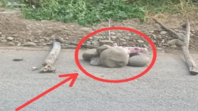 Photo of कुलगाम के बलसू में सड़क पर मिला आईईडी, बम निरोधक दस्ता मौके पर