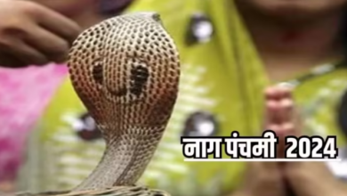 Photo of नाग पंचमी पर करें इस चालीसा का पाठ