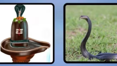 Photo of इस मंत्र के बिना अधूरी है नाग पंचमी की पूजा