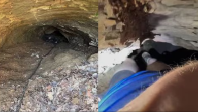 Photo of ऊपर से नजर आई पतली दरार, अंदर घुसा शख्स तो उड़े होश, दिखी ऐसी प्राचीन चीज