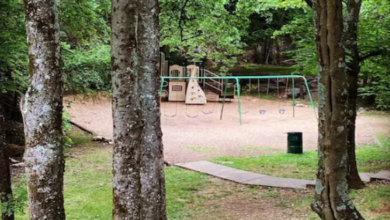 Photo of कोई नहीं होता इस पार्क में, फिर भी हिलते रहते हैं झूले, इसे कहते हैं मरे हुए बच्चों के खेल का मैदान