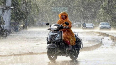 Photo of हरियाणा में बारिश से हुआ भारी नुक्सान! दो घरों की छत गिरी