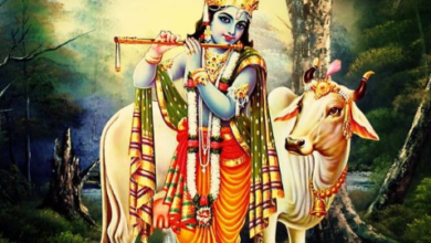 Photo of आखिर कैसे भगवान श्रीकृष्ण का नाम पड़ा मोर मुकुटधारी,जाने