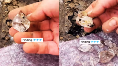 Photo of पहाड़ों पर घूम रहा था, तभी दिखी चमकती हुई चीज, पास गया तो निकला ‘खज़ाना’