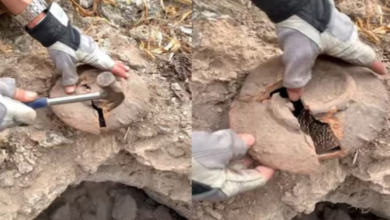 Photo of खजाना खोज रहा था शख्स, मिट्टी खोदते वक्त ठक से हुई आवाज! अंदर मिला बंद मटका