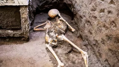 Photo of चल रही थी ज़मीन की खुदाई, फावड़े से टकराए दो कंकाल