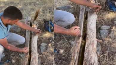 Photo of बाहर से नजर आ रही थी लकड़ी की साधारण सिल्ली, शख्स ने हाथों से किए इसके दो हिस्से