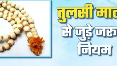 Photo of किस दिन धारण करनी चाहिए तुलसी माला, पढ़िए इससे जुड़े कुछ जरूरी नियम