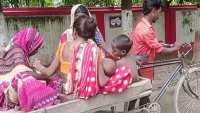 Photo of  गर्भवती महिला को नहीं मिली एंबुलेंस…ठेले से पहुंची अस्पताल