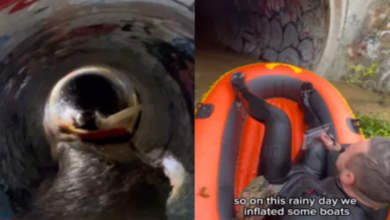 Photo of कपल ने नाले को बना दिया वॉटर पार्क, गहरे गड्ढे में उतार दी नाव