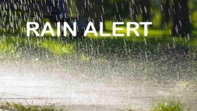 Photo of हरियाणा के 11 जिलों में बारिश का अलर्ट
