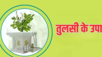 Photo of जन्माष्टमी पूजा में करें तुलसी स्तुति का पाठ