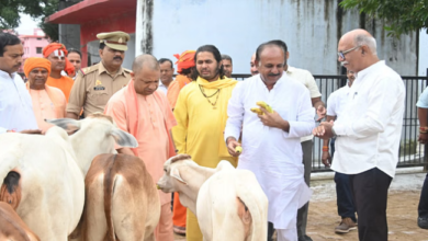 Photo of गोरखनाथ मंदिर की गोशाला में सीएम योगी आदित्यनाथ ने की गोसेवा