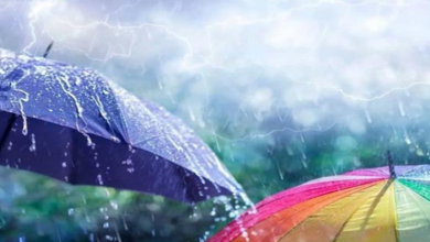 Photo of हरियाणा में मानसून मेहरबान: 10 जिलों में Heavy Rain का अलर्ट