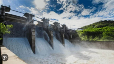 Photo of पूर्वोत्तर राज्यों में पनबिजली परियोजना के लिए मदद करेगी केंद्र सरकार