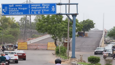 Photo of आनंद विहार-अप्सरा बॉर्डर एलिवेटेड कॉरिडोर तैयार, पेड़ काटने की अनुमति की दरकार