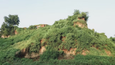 Photo of बिहार के इस गांव में भेड़ियों का आतंक, 300 साल पुराने किले को बनाया ठिकाना