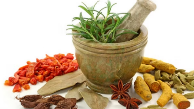 Photo of उत्तराखंड में पहली बार होगा अंतरराष्ट्रीय आयुर्वेद सम्मेलन