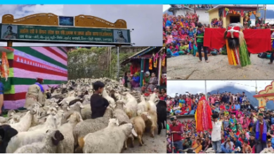 Photo of टिहरी के सीमांत गांव गंगी में भव्य भेड़ कौथिग का आयोजन