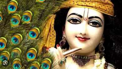 Photo of घर के इन स्थानों पर रखें कान्हा जी का प्रिय मोर पंख