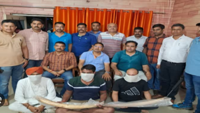 Photo of उत्तराखंड STF ने यूपी के बरेली से पकड़े 3 वन्यजीव अंग तस्कर