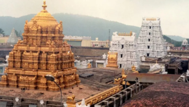 Photo of तिरुपति मंदिर के प्रसाद में जानवरों की चर्बी, लैब रिपोर्ट में खुलासा