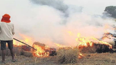 Photo of हरियाणा पराली जलाने में देश में तीसरे स्थान पर