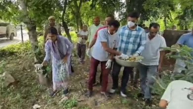 Photo of राजस्थान: श्रमदान करने पार्क पहुंचीं जिला कलेक्टर, नागरिकों से प्लास्टिक का इस्तेमाल बंद करने की अपील की!