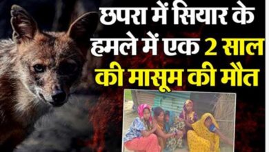 Photo of  मां के साथ सो रही 2 साल की बच्ची को उठाकर ले गया आदमखोर सियार