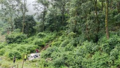 Photo of बांसवाड़ा के पास हादसा…सड़क से 15 फीट नीचे गिरा वाहन, चालक सहित सात लोग थे सवार