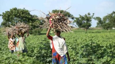 Photo of बिहार के ग्रामीण क्षेत्रों में बुनियादी सुविधाओं का होगा विकास