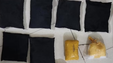 Photo of दिल्ली: 15 किलो की तराजू लेकर पहुंची थी पुलिस… मिली 565 किलोग्राम कोकीन