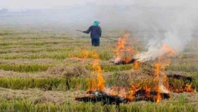 Photo of हरियाणा : किसानों की बढ़ी मुश्किलें, पराली जलाने पर अब जुर्माना नहीं