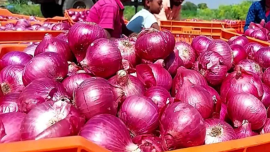 Photo of महंगाई पर लगेगी लगाम, महाराष्ट्र से सस्ता प्याज ला रही है ‘कांडा एक्सप्रेस’