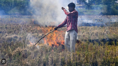 Photo of खटीमाः किसानों के द्वारा खेतों में दिन दहाड़े जलाई जा रही पराली