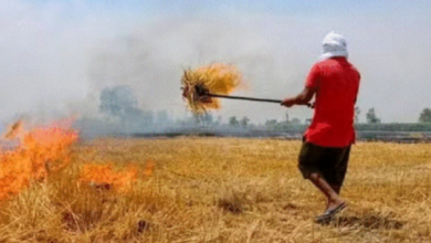 Photo of हरियाणा: पराली जलाने से रोकने में कोताही बरतने पर 17 अफसर चार्जशीट