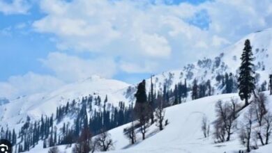 Photo of आतंकवादी हमले के बाद गुलमर्ग में गोंडोला सेवाएं की गई बंद