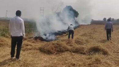 Photo of पराली प्रबंधन: लागत अधिक व जागरुकता के अभाव में जल रही पराली