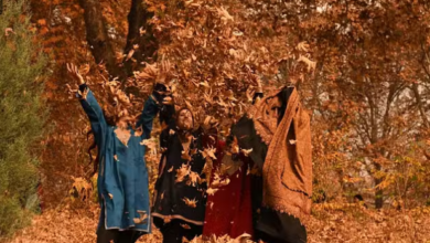 Photo of श्रीनगर में शरद ऋतु की खूबसूरती, पतझड़ के पत्तों के बीच आनंद लेते लोग