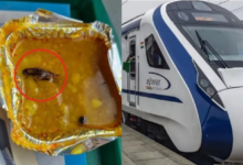 Photo of वंदे भारत एक्सप्रेस के ब्रेकफास्ट में निकला कीड़ा, यात्री ने की IRCTC से शिकायत