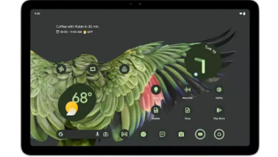 Photo of Google नहीं लॉन्च करेगा यह डिवाइस