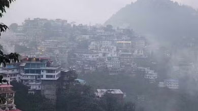 Photo of उत्तराखंड: मैदानों में कोहरे और ठंडी हवाओं से गिरने लगा तापमान