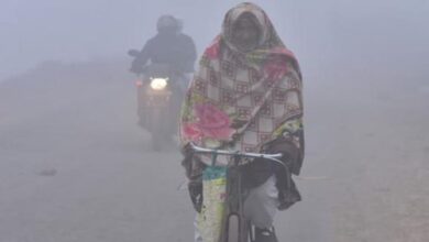 Photo of हरियाणा में मौसम विभाग ने 15 दिसंबर तक जारी किया अलर्ट!